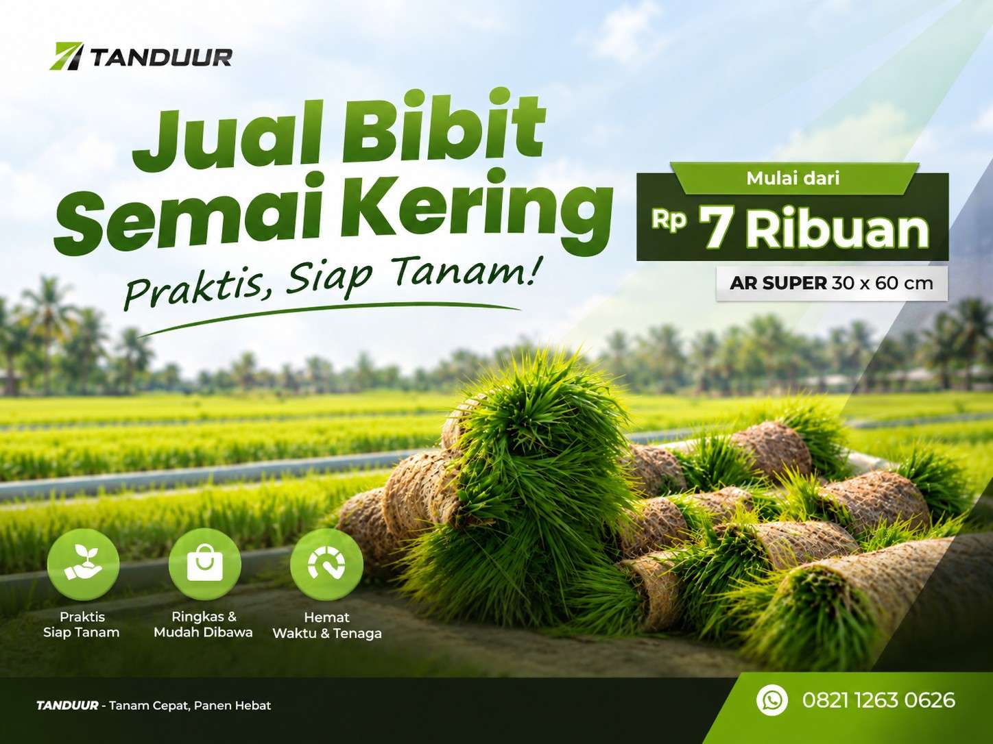 Jual Bibit Semai Kering Jogja