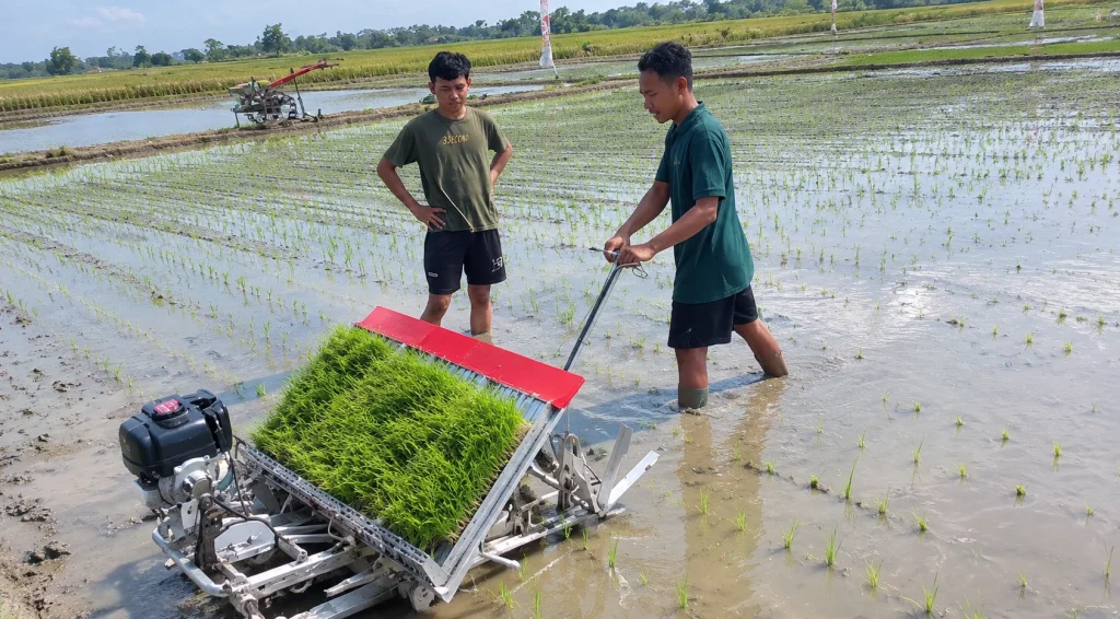 harga rice transplanter