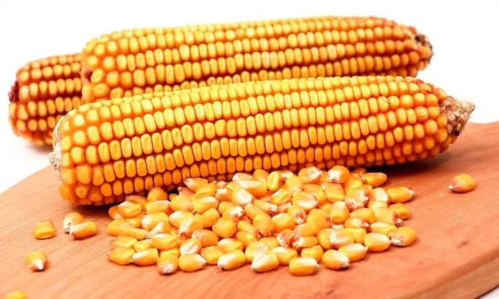Solusi Pemipilan Jagung Lebih Cepat