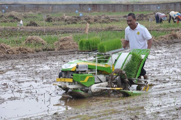 Beli atau Sewa Mesin Tanam Padi