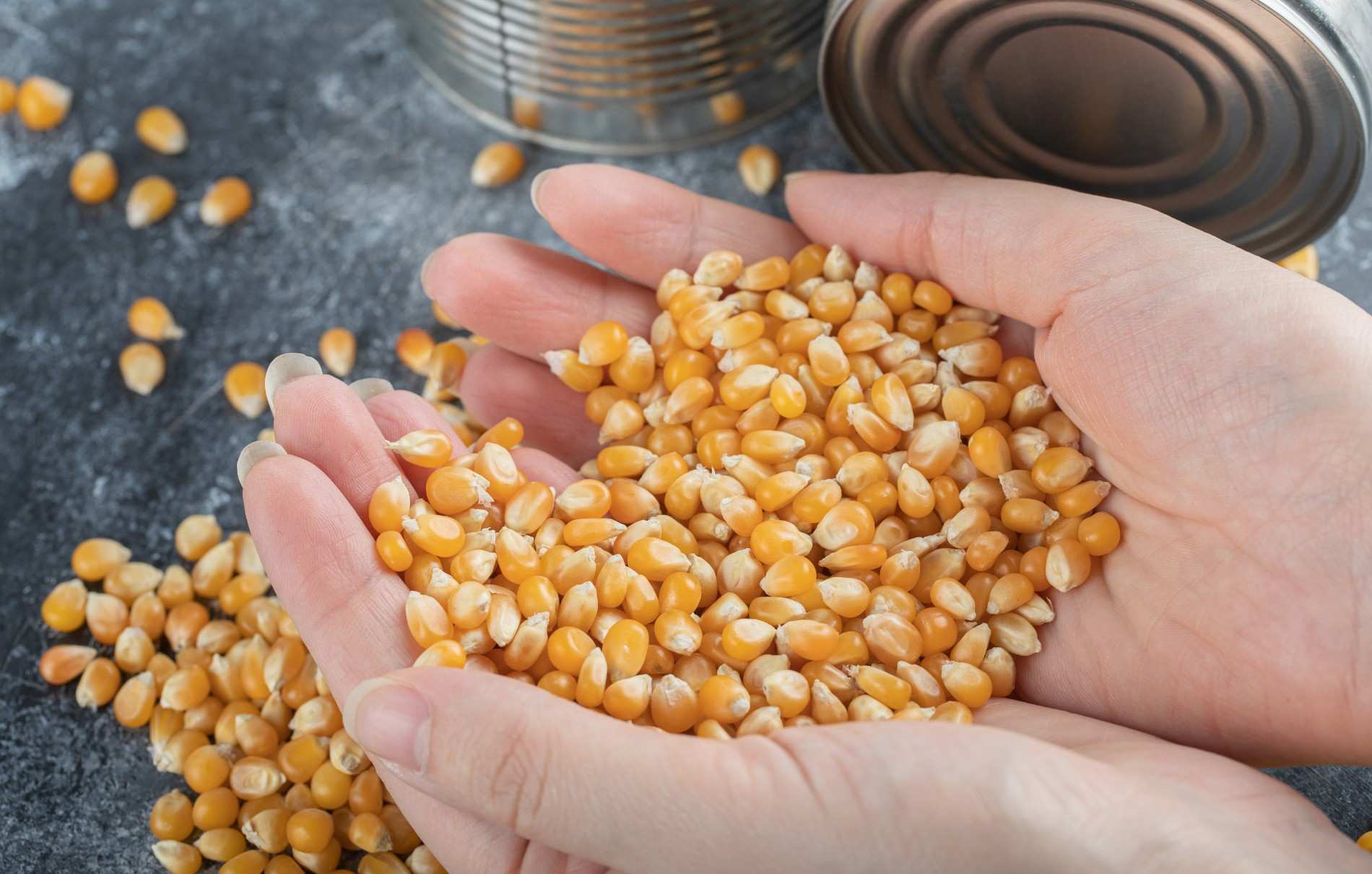 corn sheller adalah
